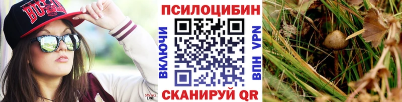 Псилоцибиновые грибы мицелий  Купить где  Ишимбай 